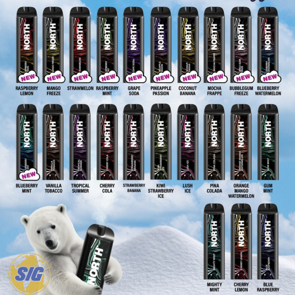 North Disposable Vape 5000 Puff -Peach Berry